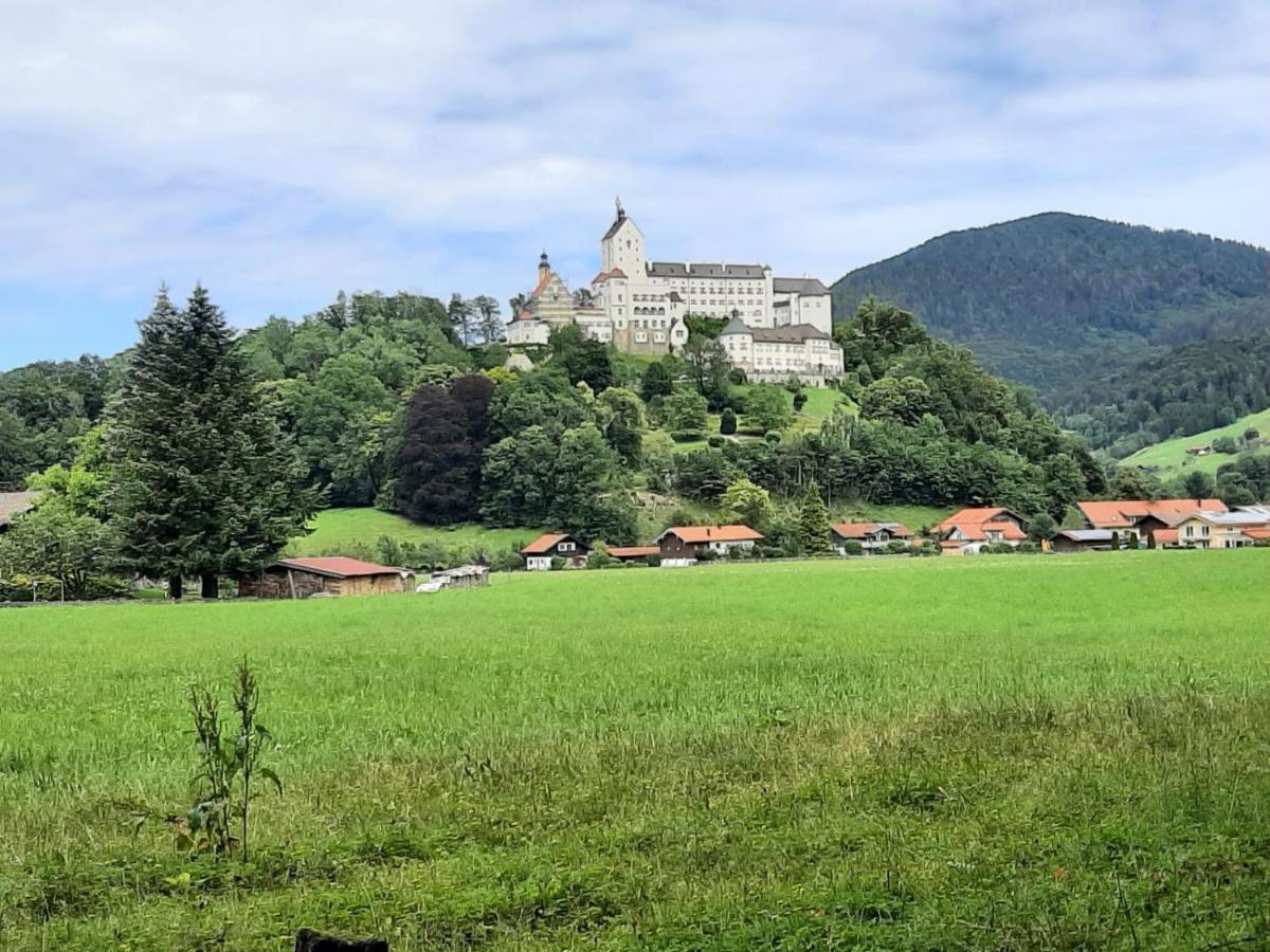 Ferienhaus Kaiserblick - Fewo2 瓦尔赫湖 外观 照片